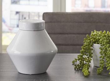 Domina Jar (Set of 2) - Luxury Home Furniture (MI)