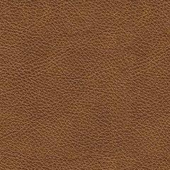 Carianna Oversized Chair - Luxury Home Furniture (MI)