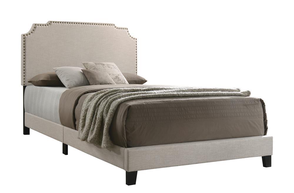 Tamarac Upholstered Nailhead Full, Eastern King & Queen Bed Beige & Grey - Luxury Home Furniture (MI)