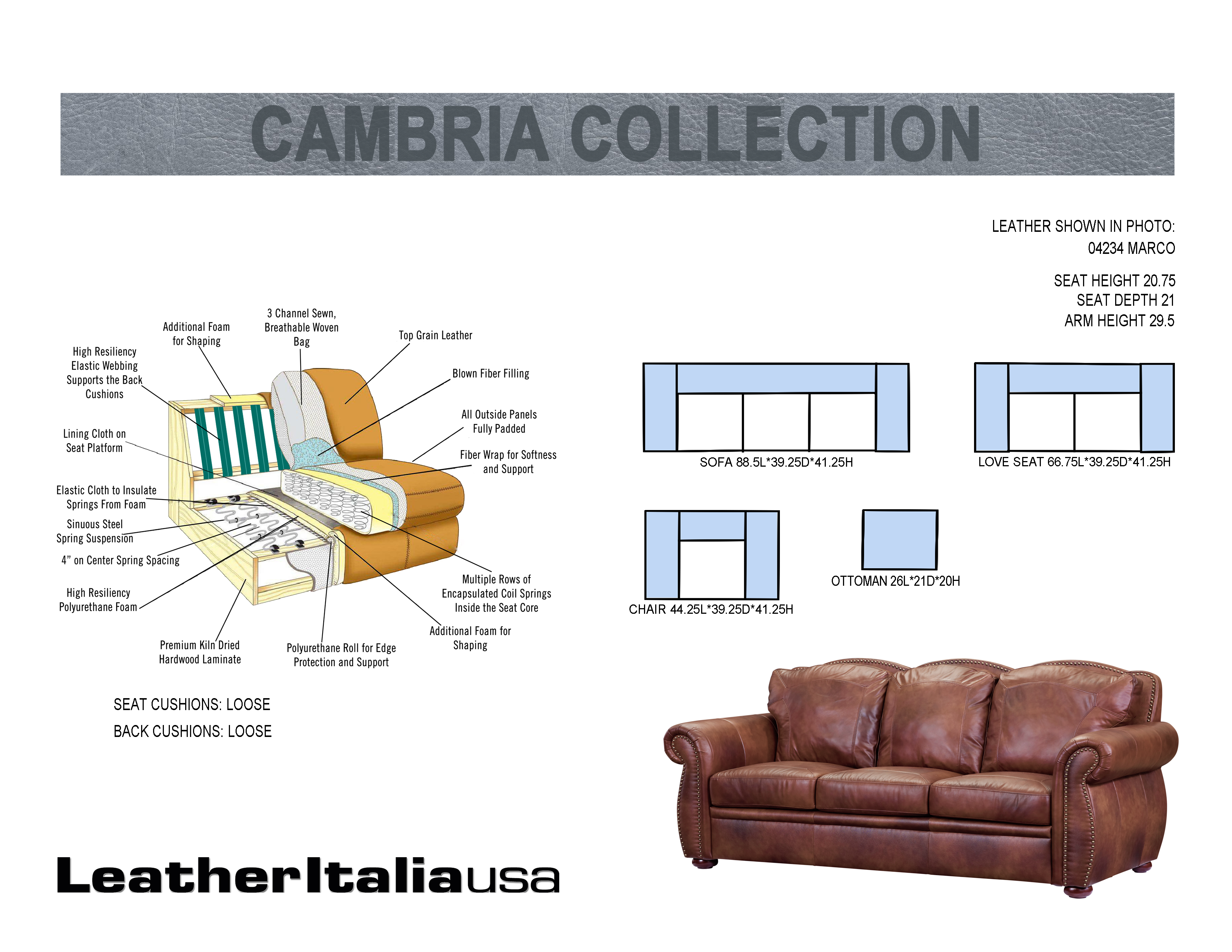 Leather Italia USA Cambria Arizona Loveseat in Marco