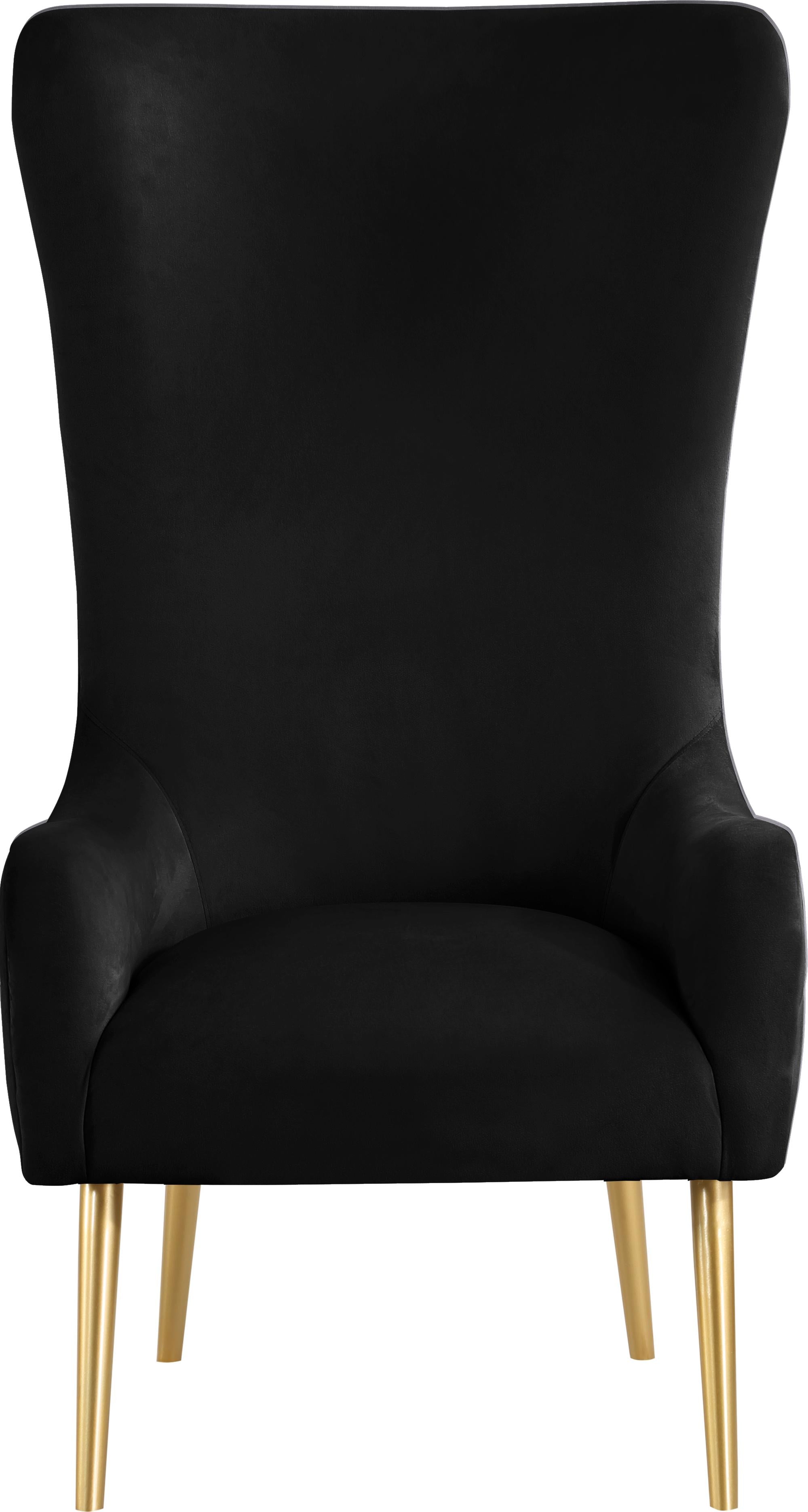 Alexander Black Velvet Accent Chair - Luxury Home Furniture (MI)
