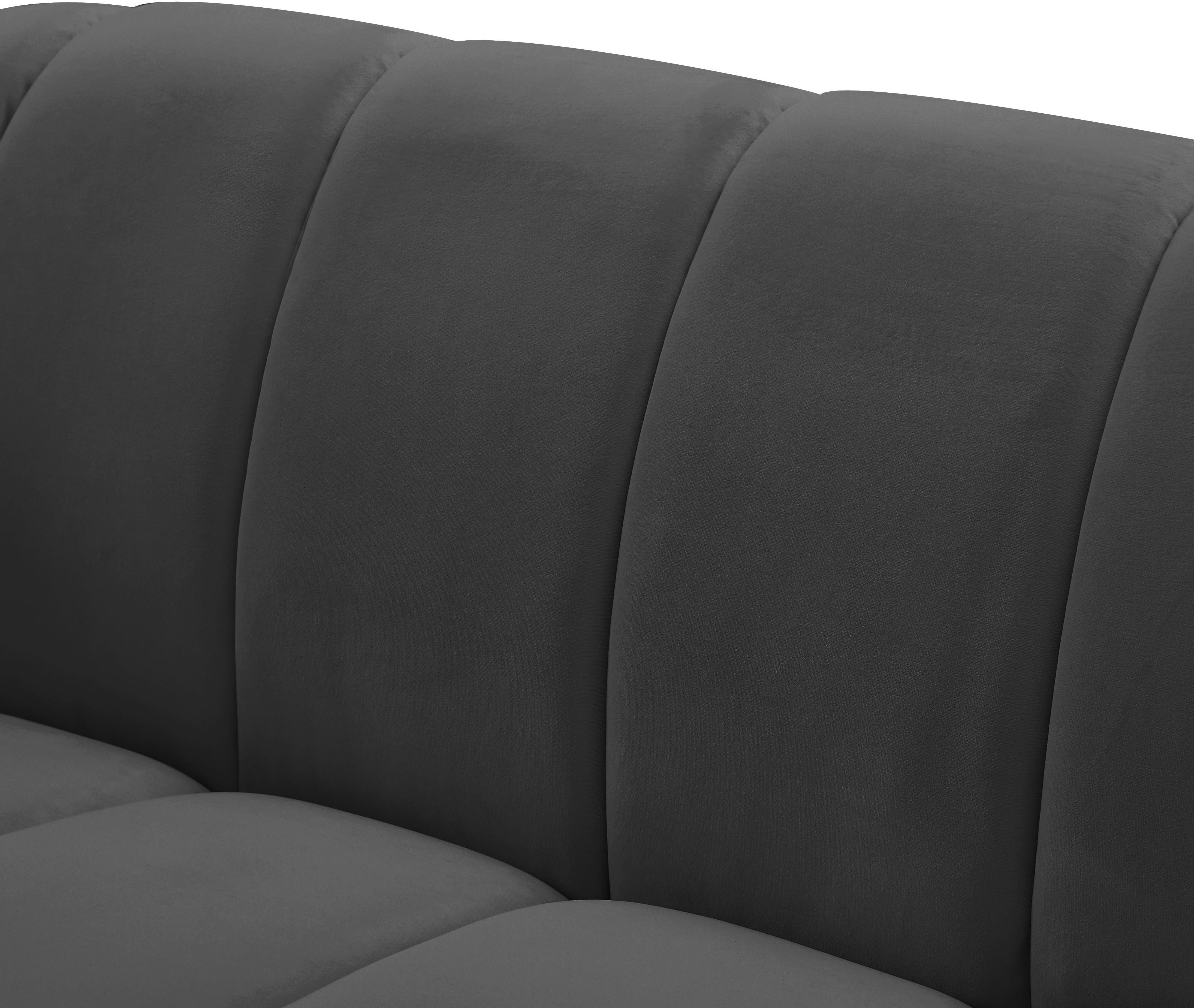 Elijah Grey Velvet Loveseat - Luxury Home Furniture (MI)