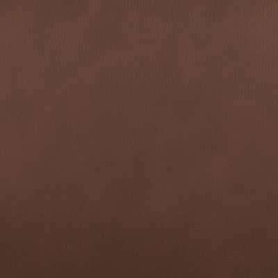 Pincara Power AutoGlide Recliner