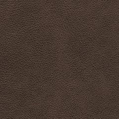 Crossplex Power Recliner - Luxury Home Furniture (MI)